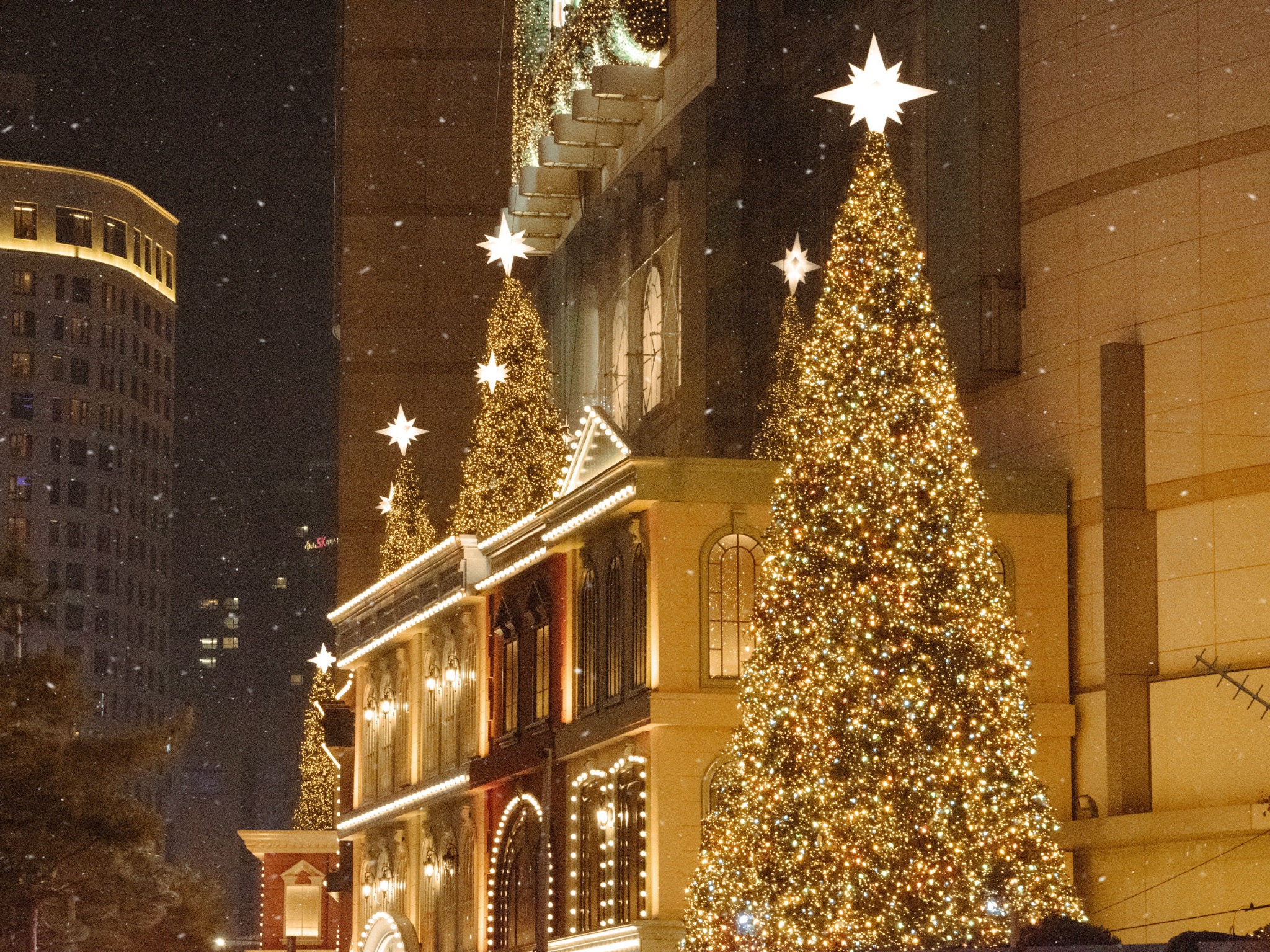 Large golden Christmas trees and warm white architectural lighting