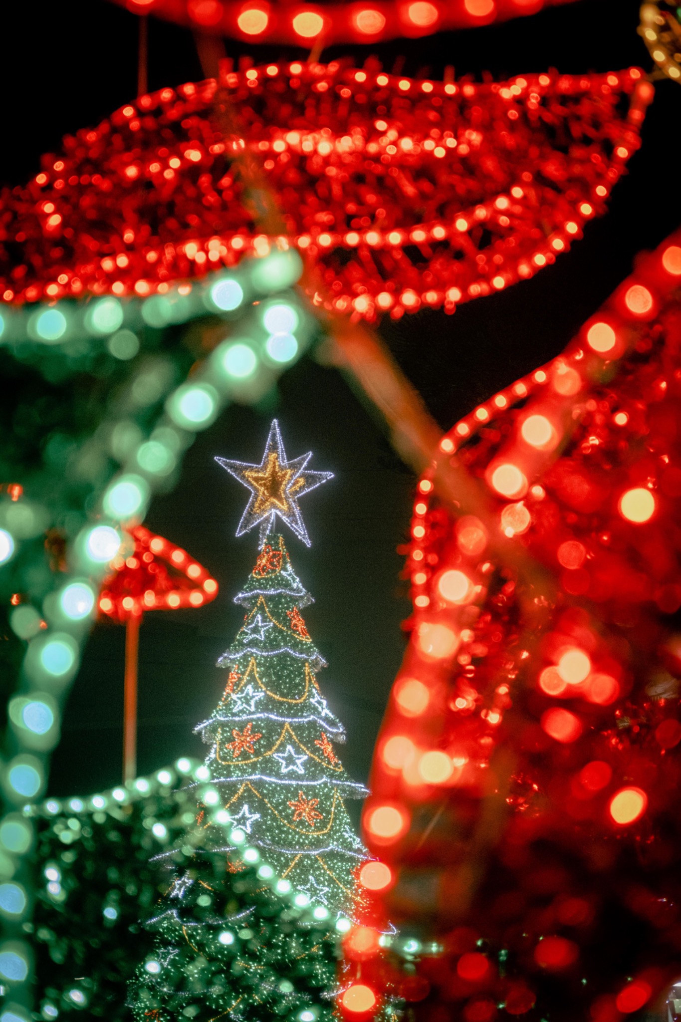 Red and green holiday lights framing an illuminated Christmas tree